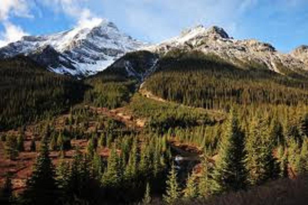 Hotel Ruidoso Dış mekan fotoğraf